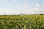 Blick von Osten (dazwischen die Elbe) auf Riesa